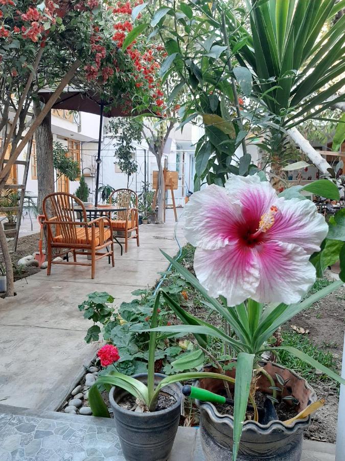 El Huerto Hostel Ica Zewnętrze zdjęcie