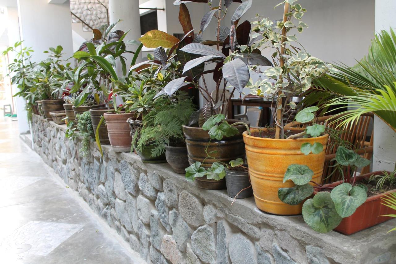 El Huerto Hostel Ica Zewnętrze zdjęcie